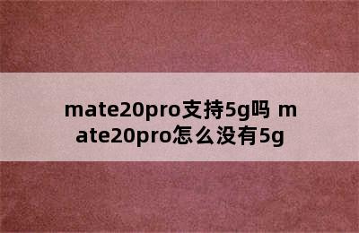 mate20pro支持5g吗 mate20pro怎么没有5g